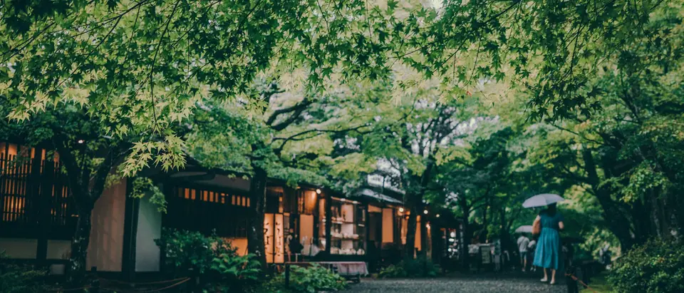 A wooden tea house under green maples on a rainy day