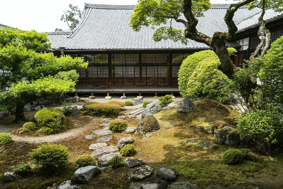 A temple garden of moss, stones and pine in front of a wooden hall