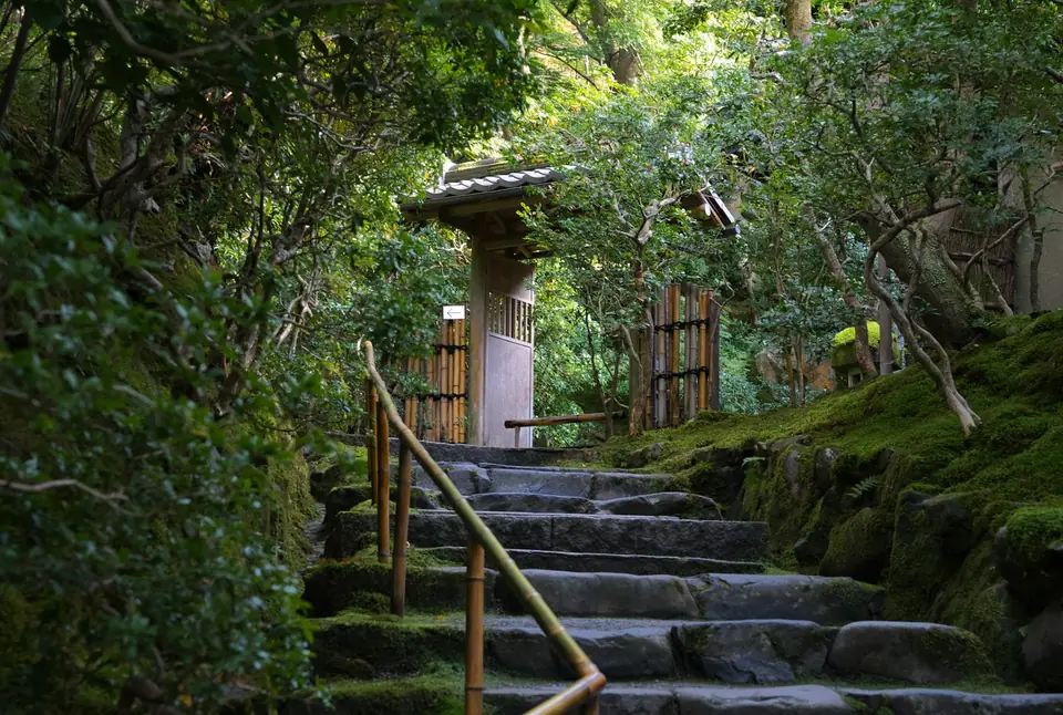Mossy stone steps leading to a small temple gate in the forest